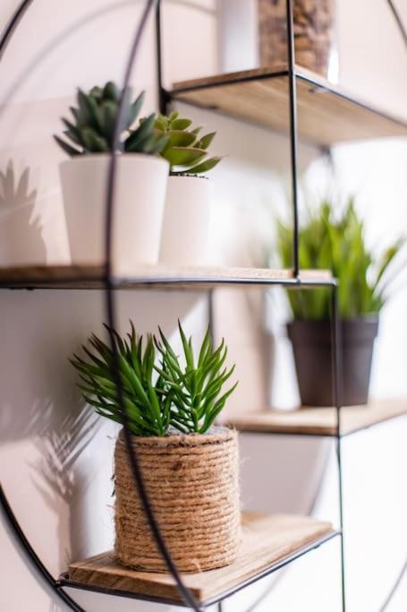 Apartament Forest Chic : Maison San Marina Parmain Zewnętrze zdjęcie